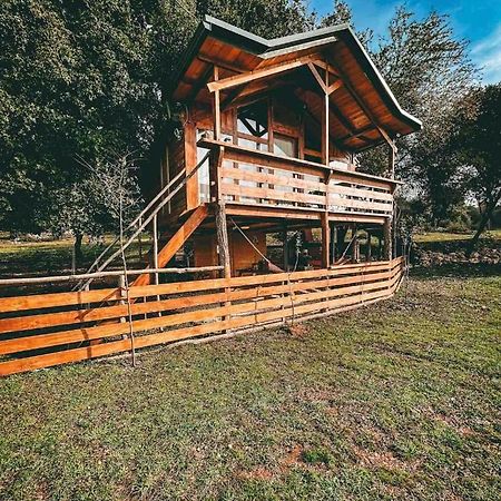 The Treehouse Of The Dragon Apartamento Ioannina Exterior foto